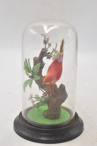 Vintage faux taxidermy felted - vintage,