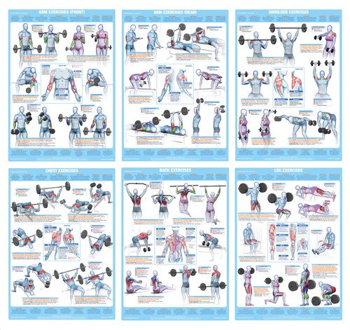Weight training exercise - weight,