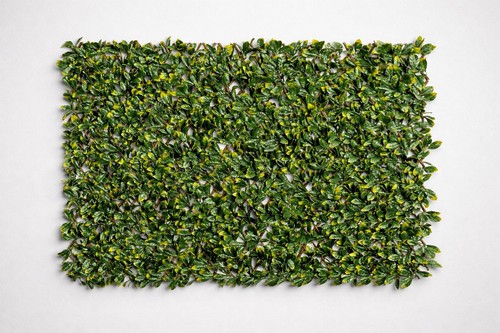 Expandable laurel leaf garden - laurel,