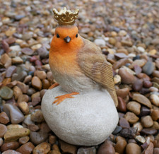 Robin wearing Crown on stone