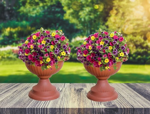 Terracotta grecian urn patio - grecian,