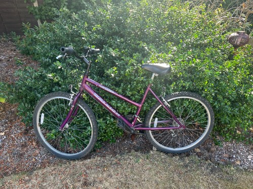Ladies raleigh usa design - raleigh,