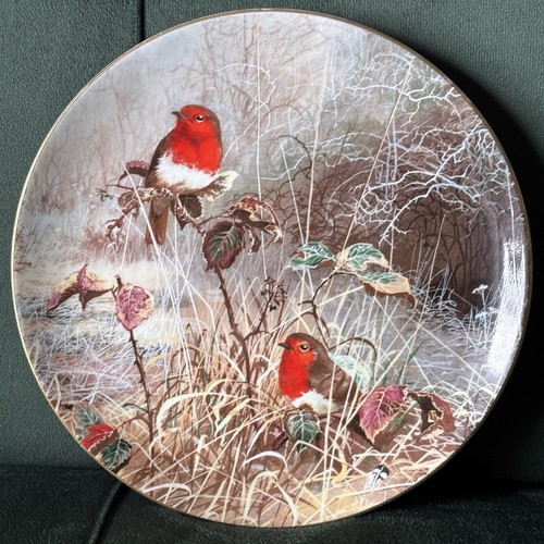 Robin redbreast frosty - robin,