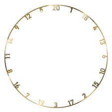 Bulls NL Gold Metal Dartboard