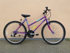 Retro 1991 Raleigh Monterey