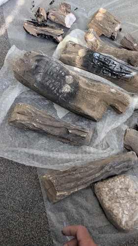 Fire logs proof - fire,