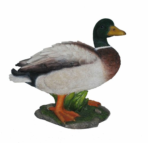 Vivid arts real life mallard - -,