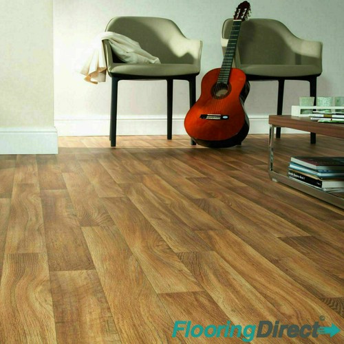 262m forest oak wood - forest, effect