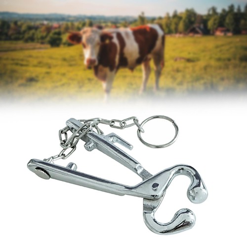 Cattle nose rings - cattle,
