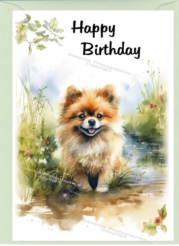 Pomeranian dog birthday - dog, card