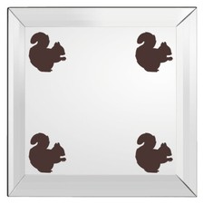 20 Squirrel Vinyl Wall Art