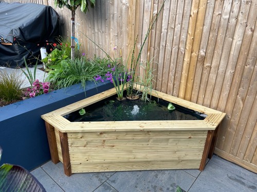 Raised garden pond seat - garden, w/seat