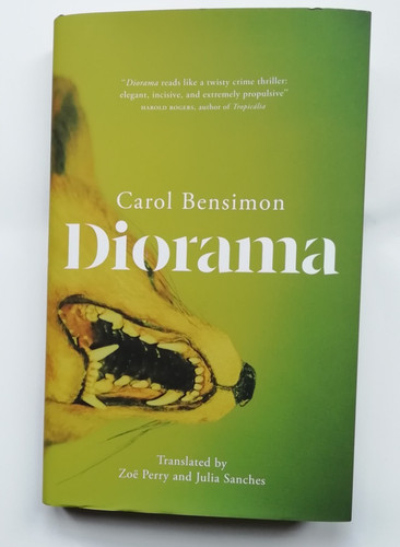 Diorama carol bensimon - carol,