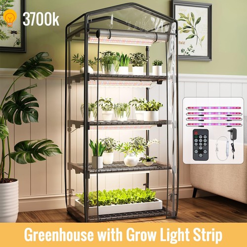 Mini indoor greenhouse - indoor, with