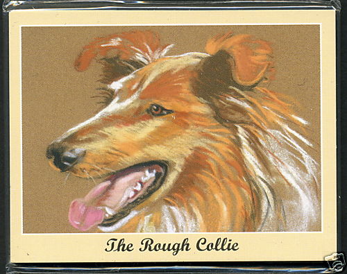 The rough collie man - -, best