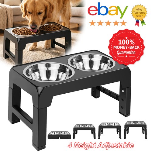 Raised dog bowls - dog, slow