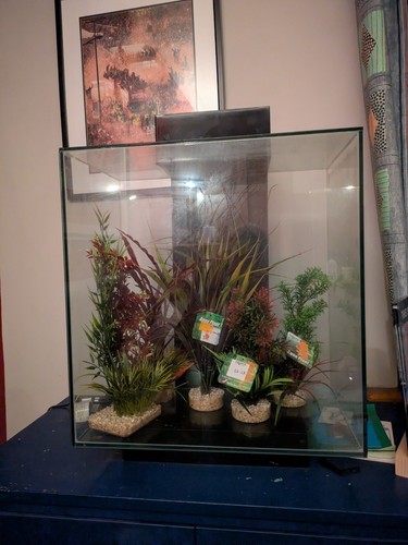 Fluval edge 46l aquarium - fluval,
