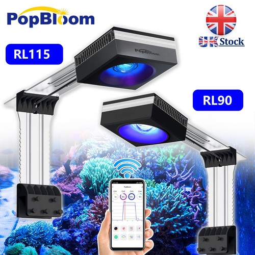 Popbloom rl90 rl115 reef - popbloom,