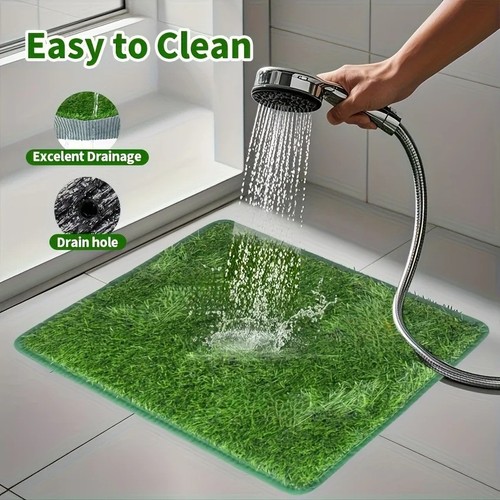 Large pet dog - toilet, mat