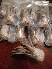 XL Bronze Mallard Bundle