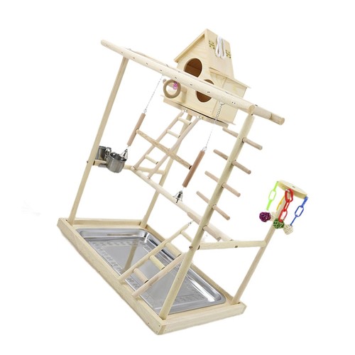 Birds parrot playground play - birds,
