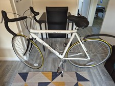 Racer Bike Barracuda Azzuri