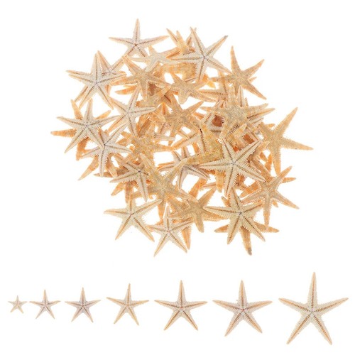 Pieces mini starfish - 25,