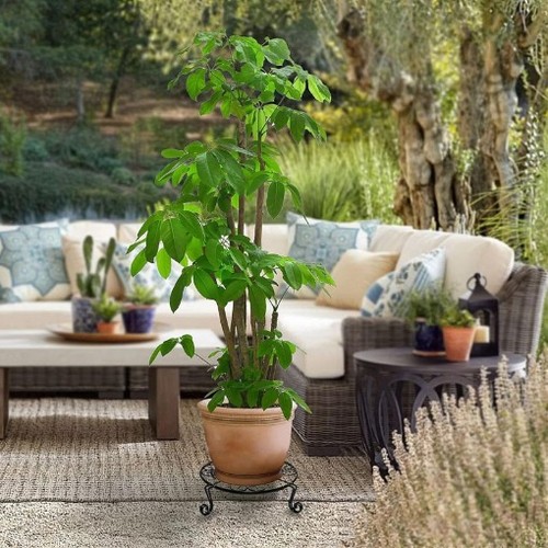 3pcs indoor metal plant stand - plant,