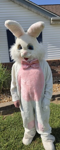 Vintage rabbit costume bunny - rabbit,