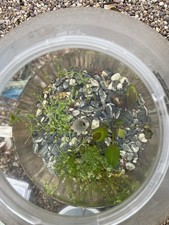 BiOrb 30 Litre Classic Fish