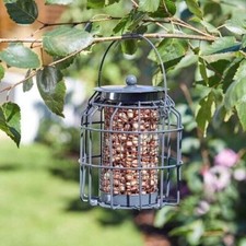 Garden Bird Feeder Peanut Hanging Cage Squirrel Proof Outdoor Decor Metal Small