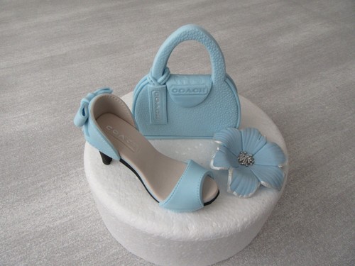 Edible handmade shoe handbag - edible, shoe,