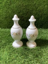 Mayfair Fine Bone China Salt &