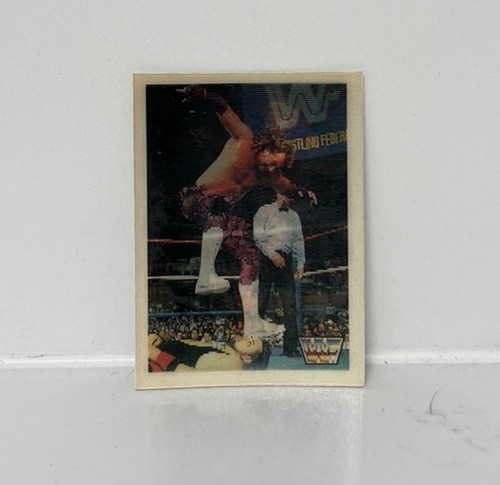 Wwf hasbro summerslam - hasbro, 3d