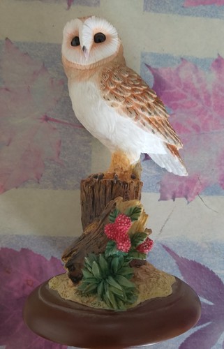 Border fine arts barn - fine, owl