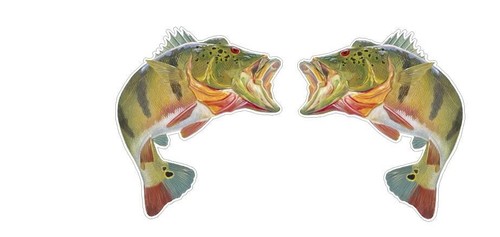 Fishing angling - fishing,