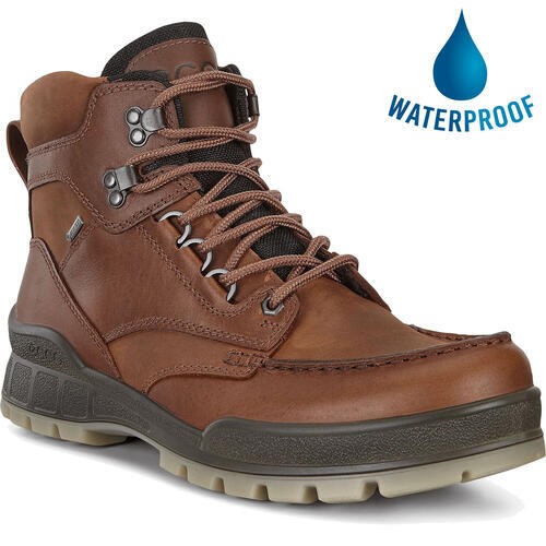 Ecco shoes track gtx mens - shoes,