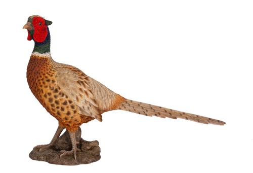 Vivid arts pheasant bird - arts,