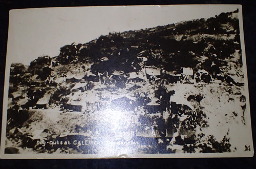 Original postcard photograph - original,