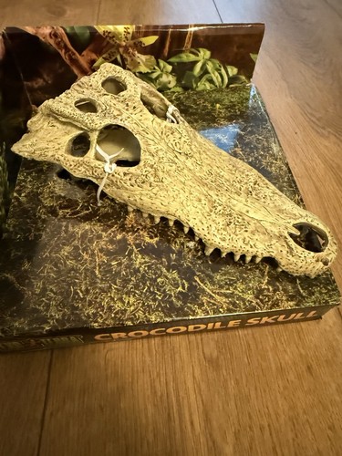 Exo terra crocodile skull - exo,