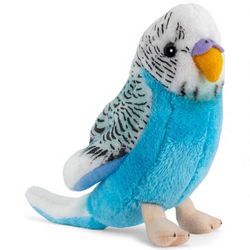 Carl dick budgie bird - dick,