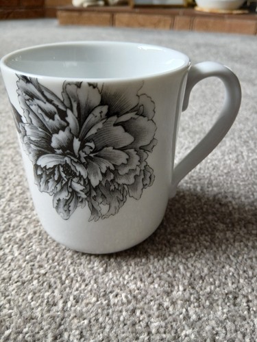Royal worcester black - worcester, ~