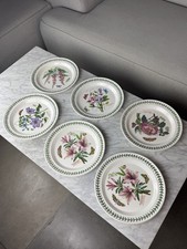 Set Of 6 Vintage PORTMEiRiON BOTANIC GARDEN 10.5" FLOWER DINNER PLATES 