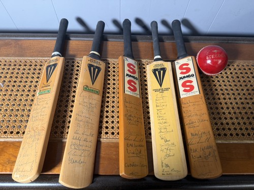 Vintage signed mini cricket - mini,