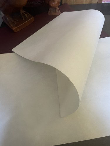 Vellum goat skin parchment - vellum,