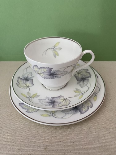 Shelley sycamore trio tea cup - shelley,