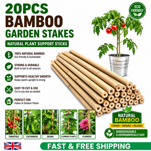 20pcs bamboo garden plants - 20pcs,