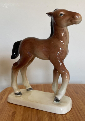 Cortendorf foal 2574 - cortendorf,