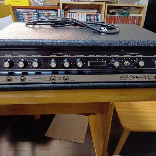 Mesa boogie dual - boogie, rectifier