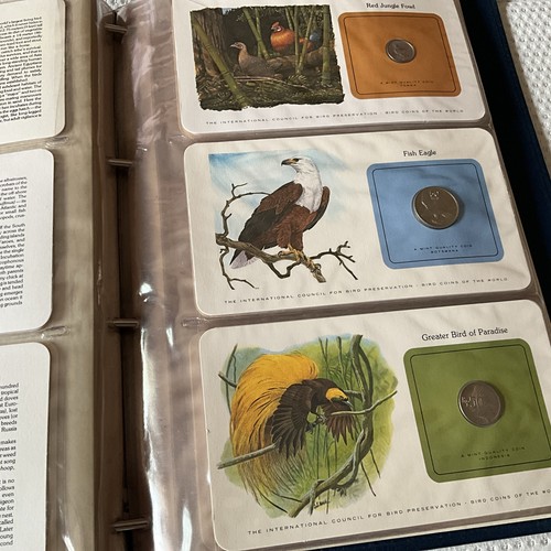 Scarce bird coins the - bird,